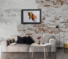 "Basset Hound", Painting, Acrylic on Paper