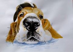 Basset hound, Painting, Acrylic on Paper