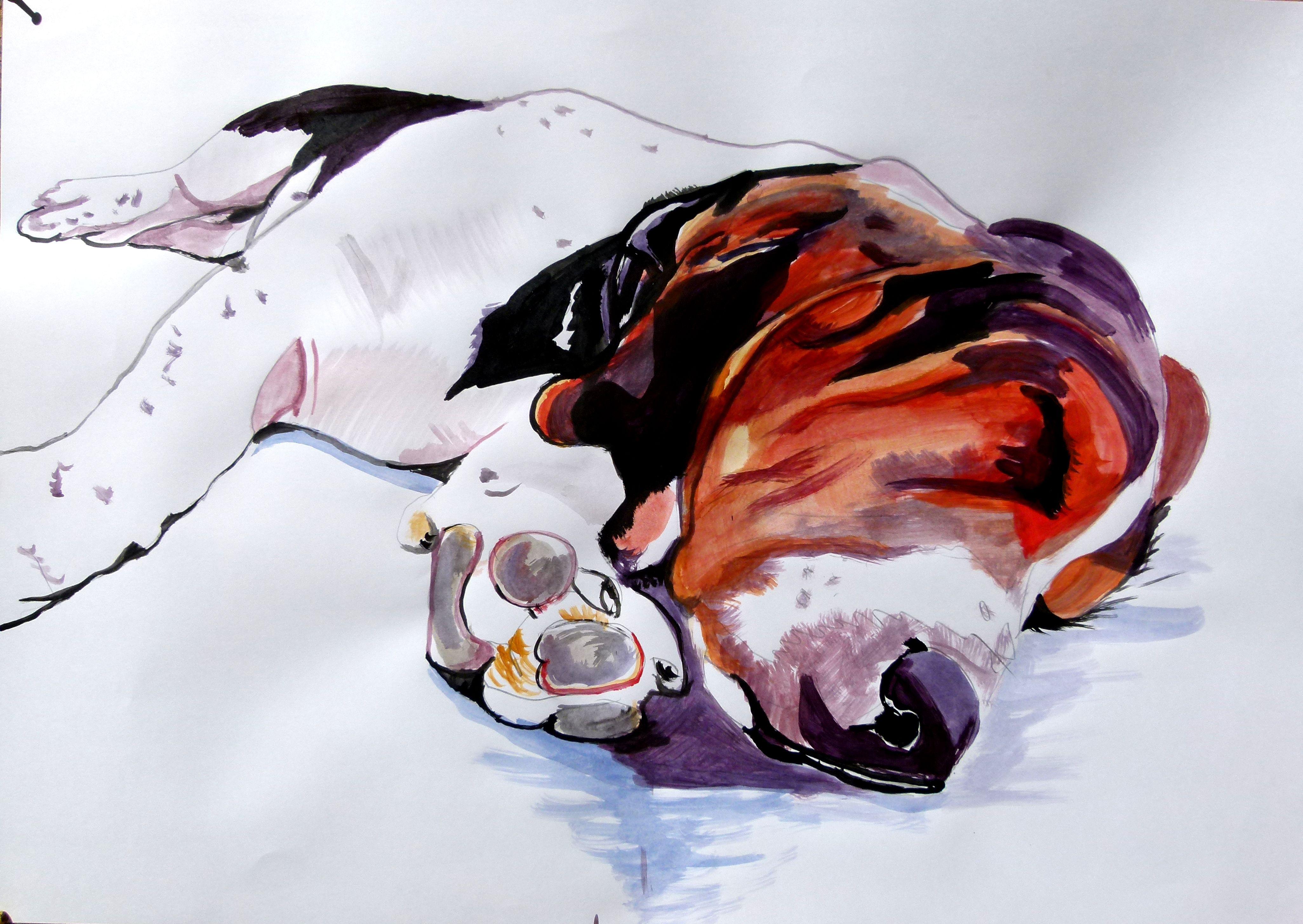 Basset hound, Painting, Acrylic on Paper