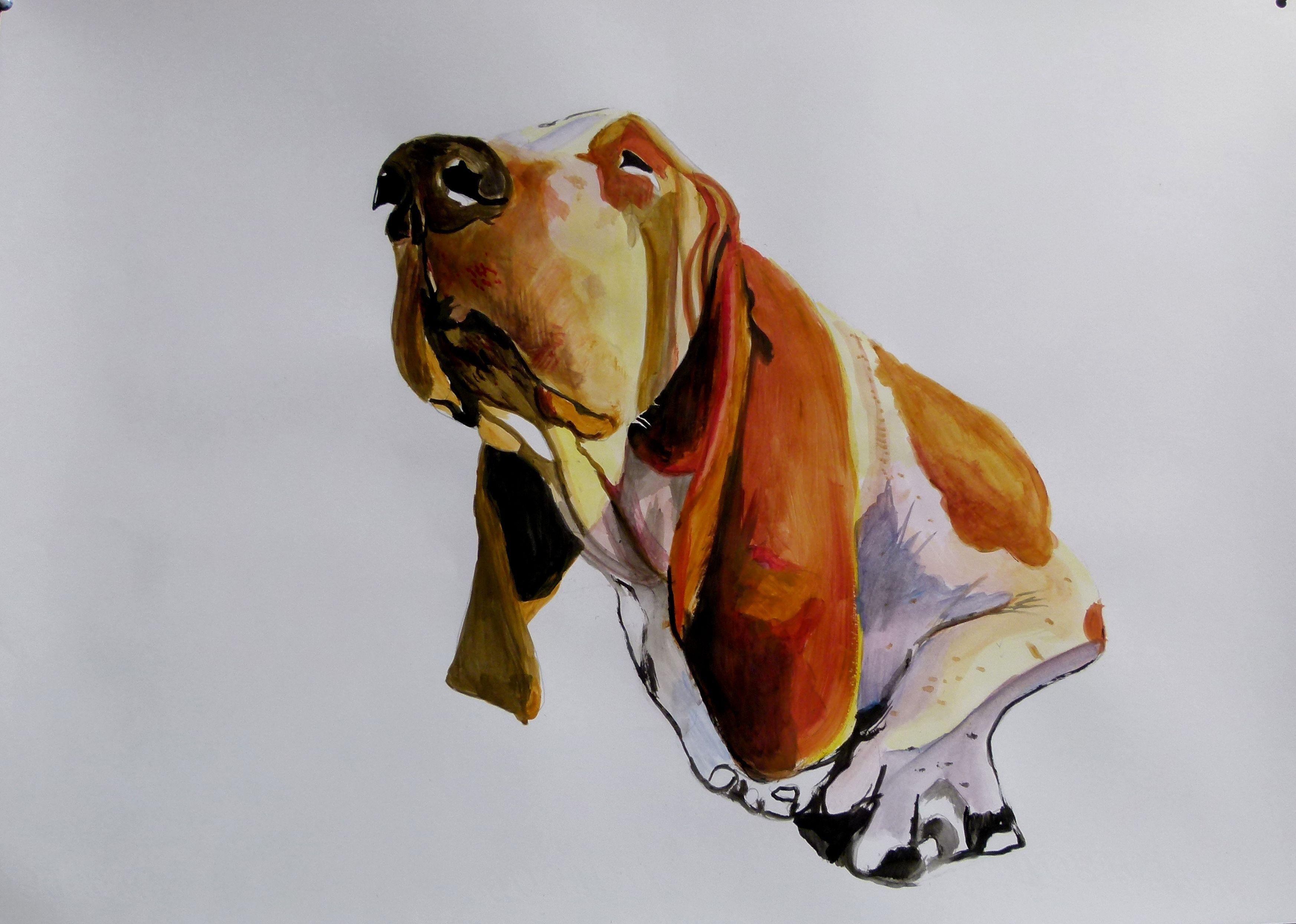 "Basset Hound", Pittura, Acrilico su carta - Painting di Soso Kumsiashvili