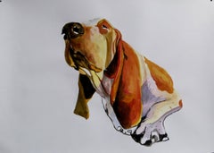 "Basset Hound", Painting, Acrylic on Paper