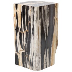 South American Petrified Wood Pedestal South American Petrified Wood Pedestal