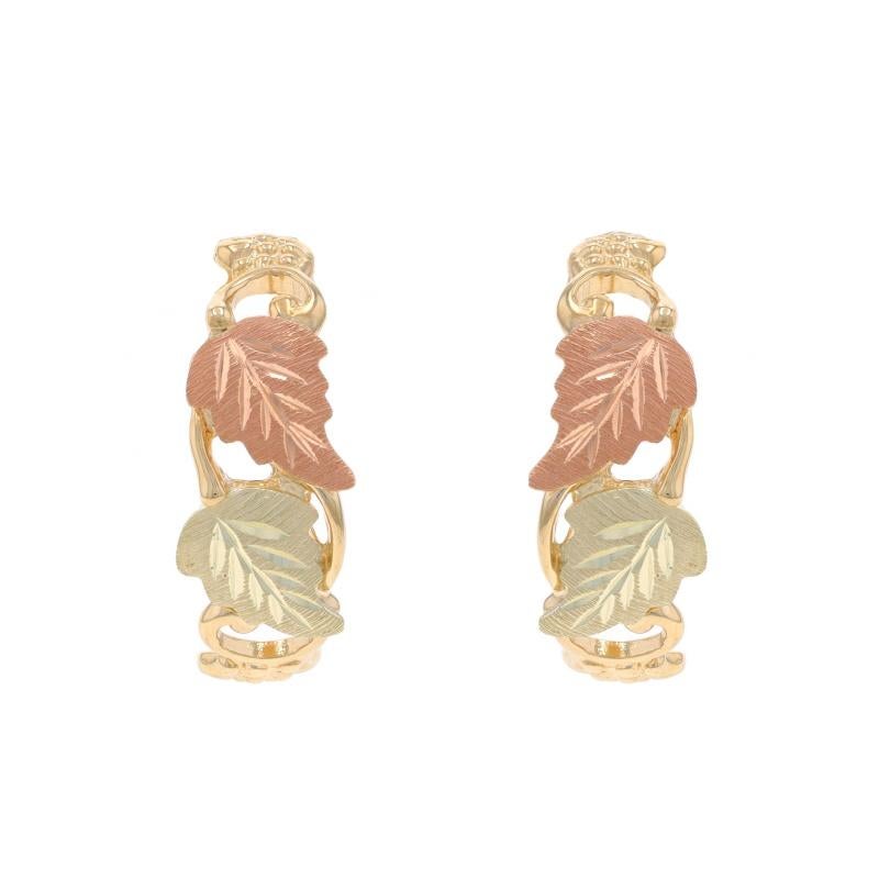 Marque : South Dakota Gold Co.
Design :  L'or des collines noires

Contenu en métal : Or jaune 10k, or rose 10k, or vert 10k et or jaune 14k
Note sur le métal : (Boucles d'oreilles en or 10k avec tenons et dos en or 14k)

Style : Demi-boucle
Type de