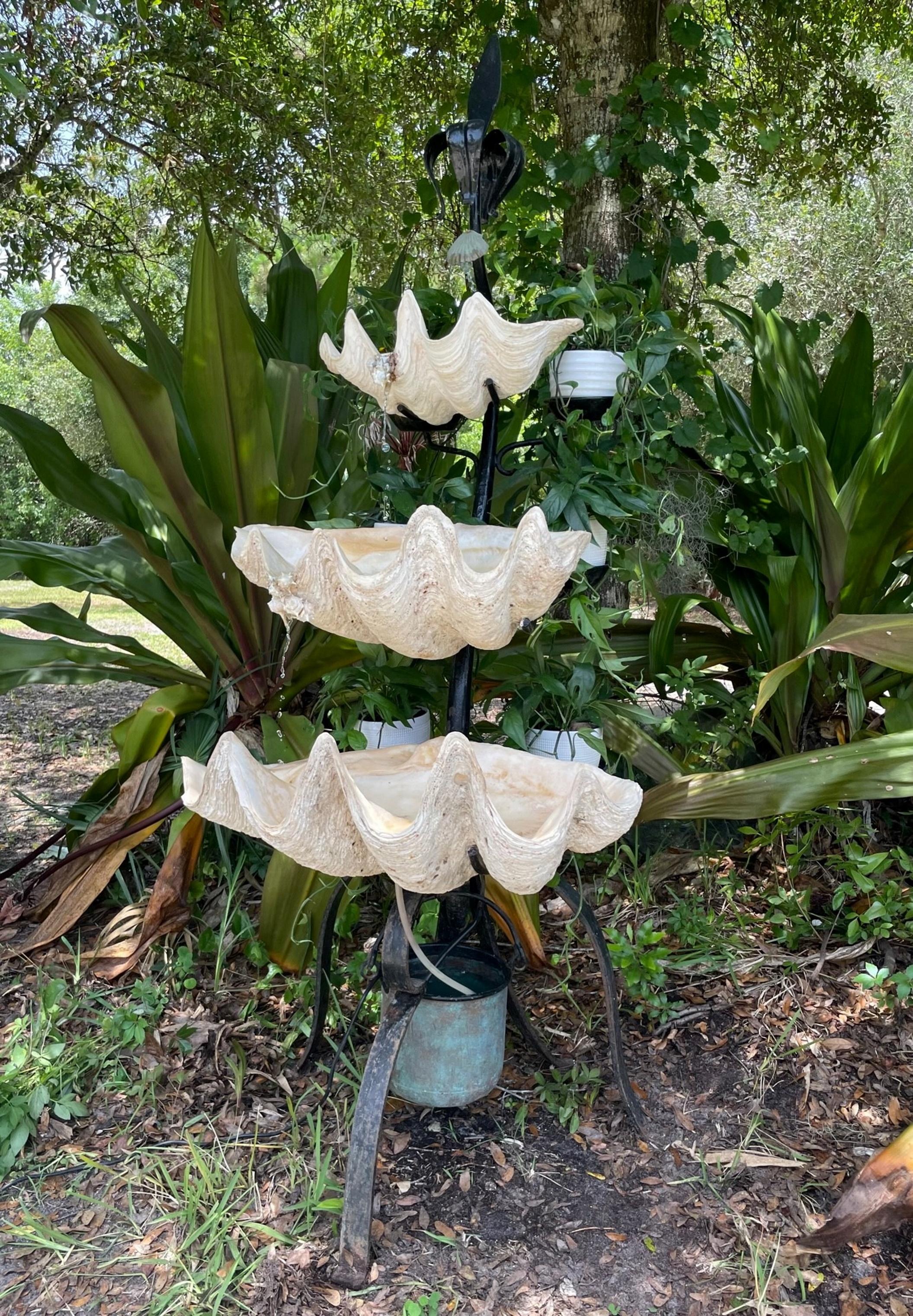 South Pacific Giant Clam Shell Three-Tiered Water Fountain.

Spectacular three-tiered water fountain with three graduated white Tridacna gigas giant clam shell specimen. A wrought iron stand with six plant trays serves as a sculptural water feature.