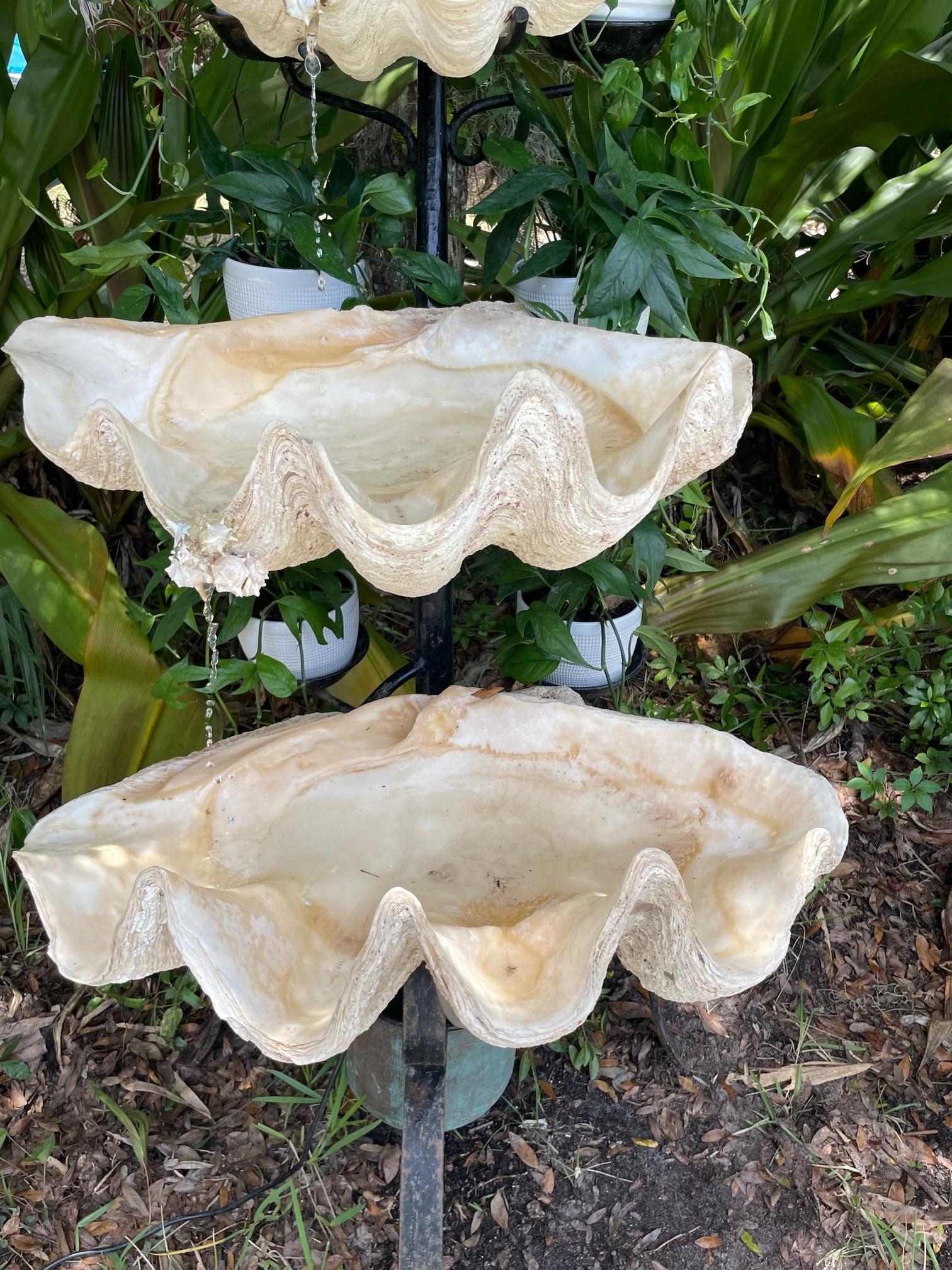 Unknown South Pacific Giant Clam Shell Three-Tiered Water Fountain.