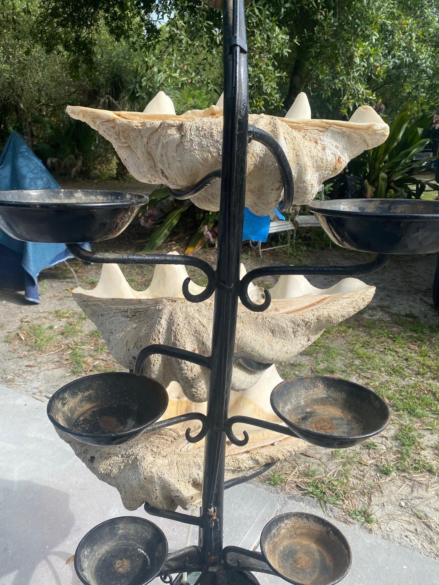 Forged South Pacific Giant Clam Shell Three-Tiered Water Fountain.