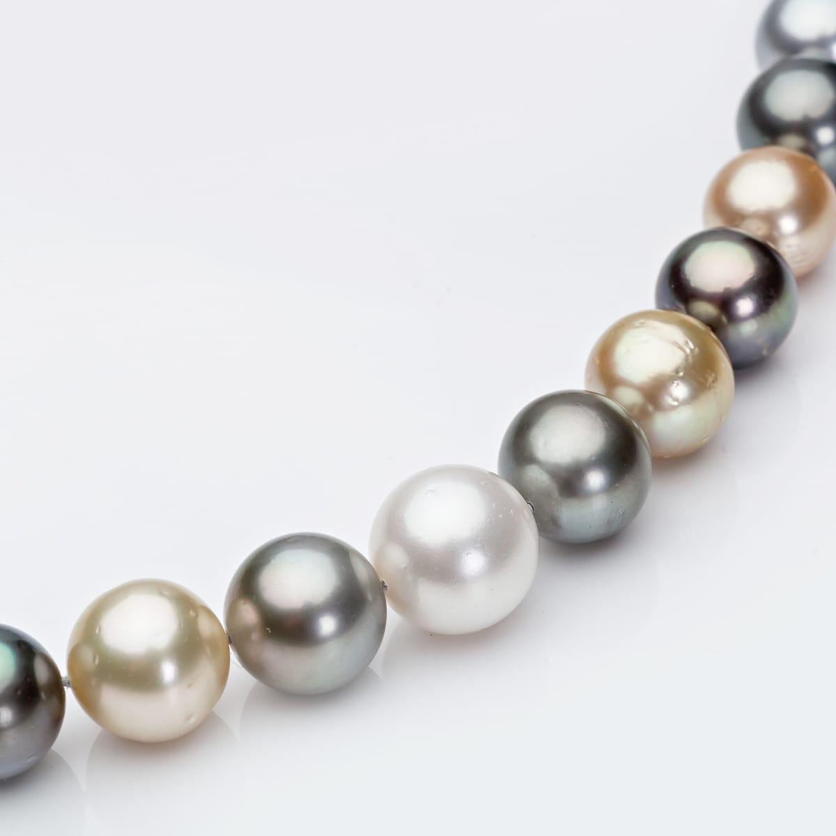 Multicolour South Sea and Tahitian harlequin pearl sautoir  featuring 63 pearls -14,5 x 12 mm
This extraordinary unique double stranded pearl sautoir is made with curated matching pearls in creamy champagne, gold, soft grey’s nuances to almost