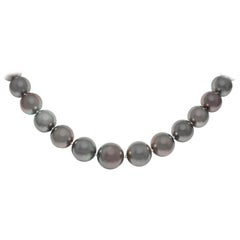 Used South Sea Black Pearl Necklace