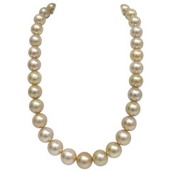 South Sea Champagne Round/Near-Round Pearl Necklace with Gold Clasp