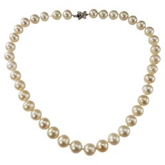 Vintage South Sea Cultured Pearl Necklace & 14K White Gold Diamond Clasp  #18586