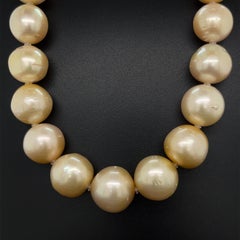 South Sea Golden Pearl Necklace