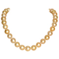 South Sea Golden Pearls and Yellow Gold 18 Karat Clasp Beaded Necklace