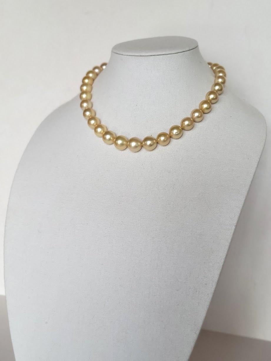 Women's South Sea Golden Pearls Necklace with 14K Gold Clasp For Sale