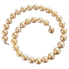 South Sea Golden Pearls Necklace with 14K Gold Clasp