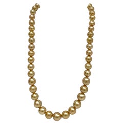 South Sea Golden Round Pearl Necklace with Gold Clasp