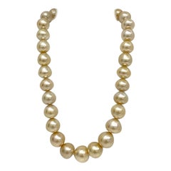 South Sea Medium Golden Button Pearl Necklace with Gold Clasp
