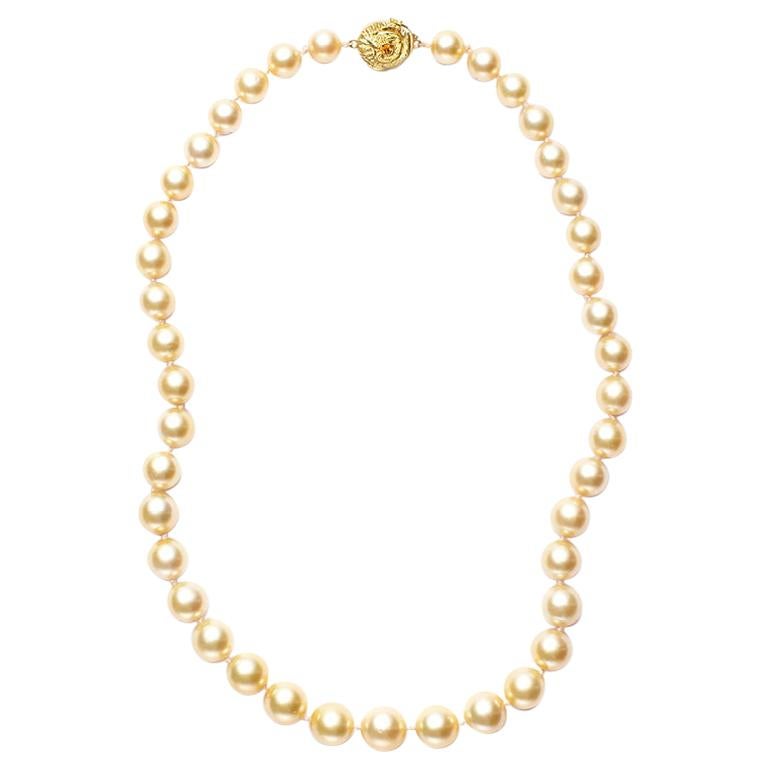 Rare Natural Color Golden South Sea Pearls at 1stDibs