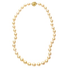 Susan Lister Locke South Sea Natural Golden Pearls with Orange Sapphire Clasp