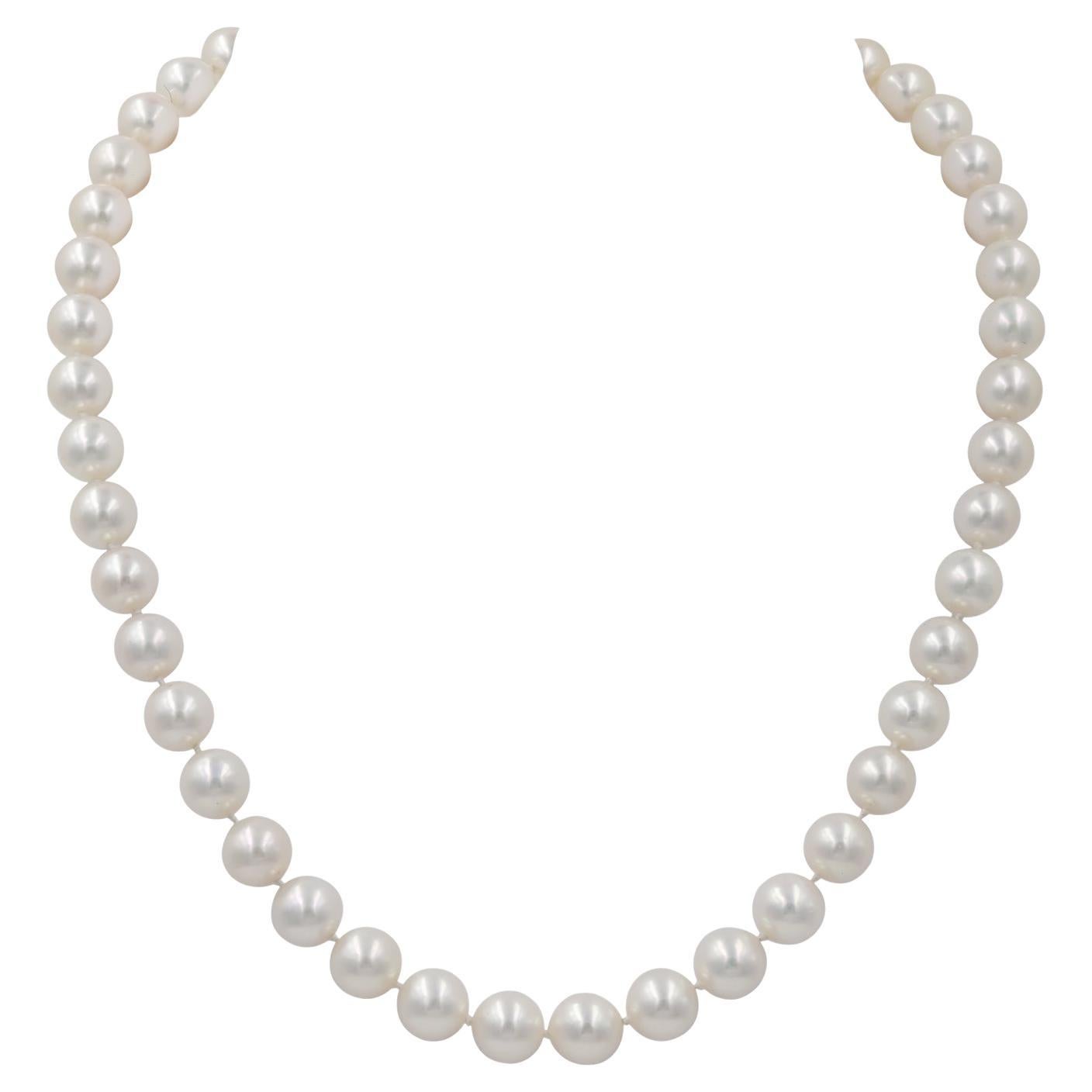 South Sea Pearl Bead Necklace For Sale