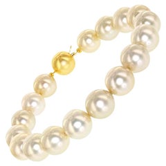 South Sea Pearl Champagne Color Pearl Bracelet with 14 Karat Yellow Ball Clasp
