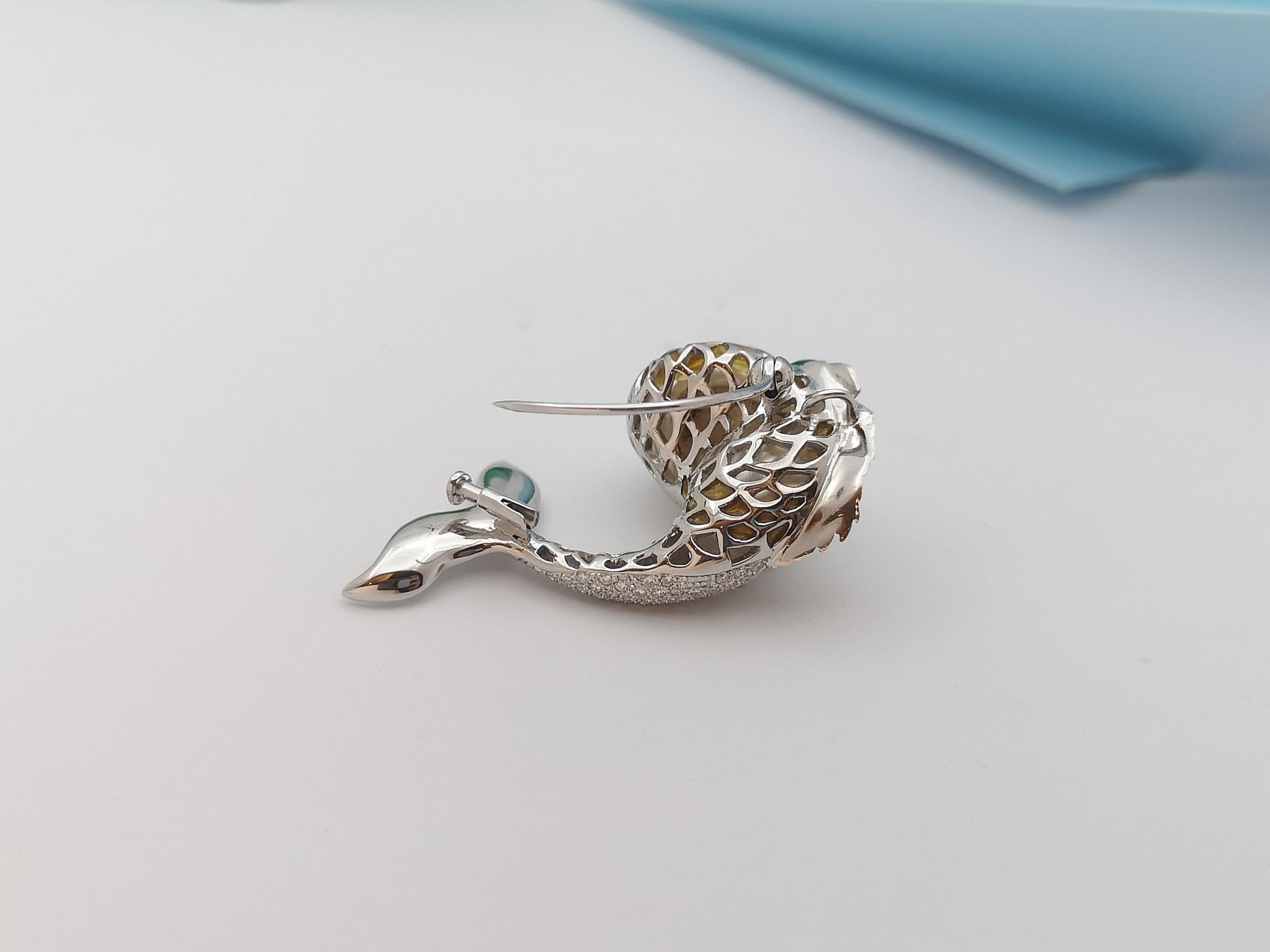sea pearl animal