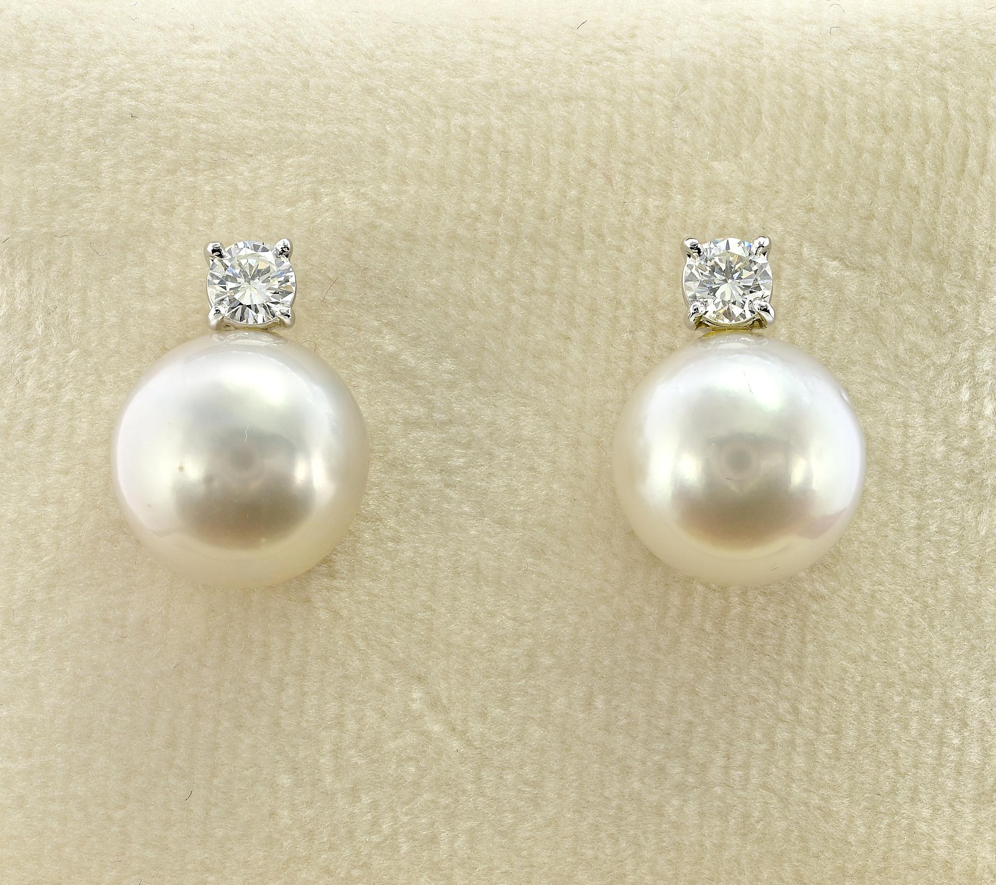These superb pair of 1980 circa Pearl earrings are the classy statement to wear all the time
The two South Sea Pearls of beautiful iridescence and silky sheen measuring 11/11.5mm. white cream good roundness few natural pits typical of the South Sea
