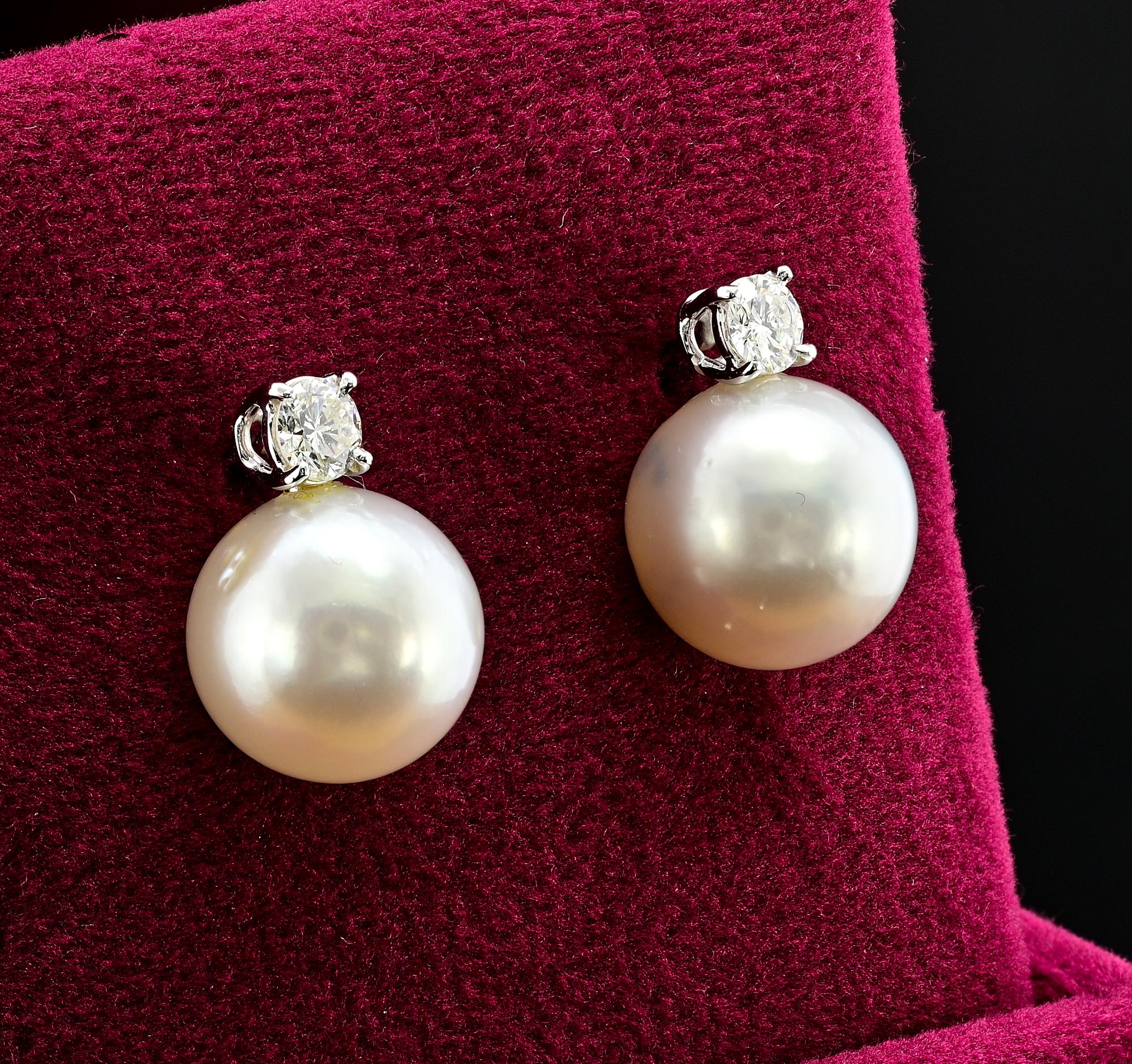 Women's South Sea Pearl G VVS Diamond 18 Kt White Gold Stud Earrings