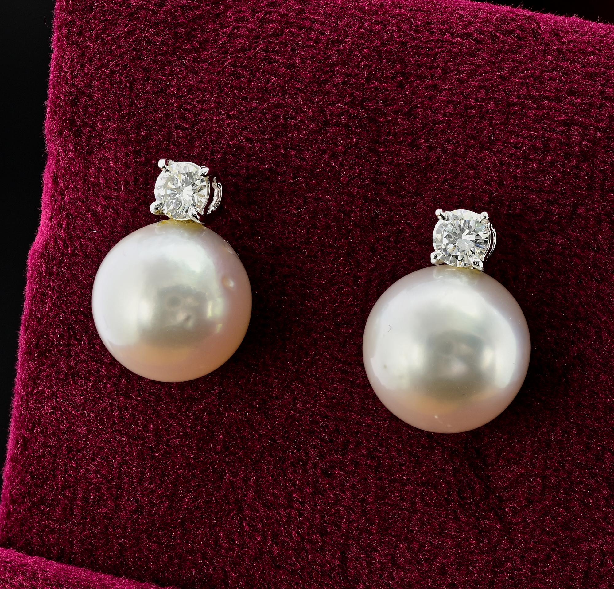South Sea Pearl G VVS Diamond 18 Kt White Gold Stud Earrings 2