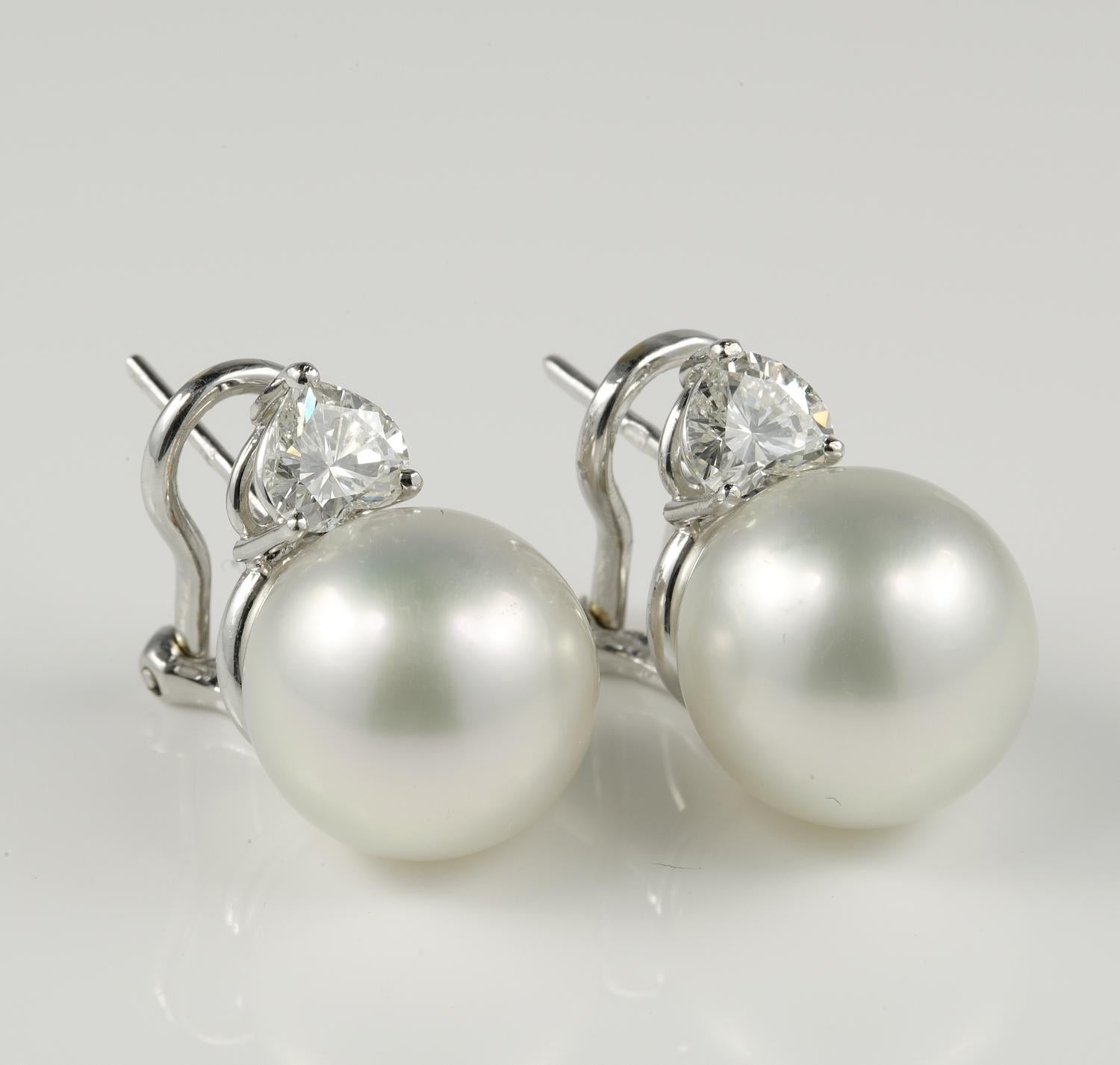 Queen of Seas

Outstanding vintage AAA quality Australian South Sea Pearl Earrings for matching pair, roundness, skin perfection, colour match, blemish free, excellent lustre 

They are 12 mm. in size, white silver colour, topped by two fabulous