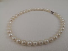 South Sea Pearl Necklace, Round, White Color