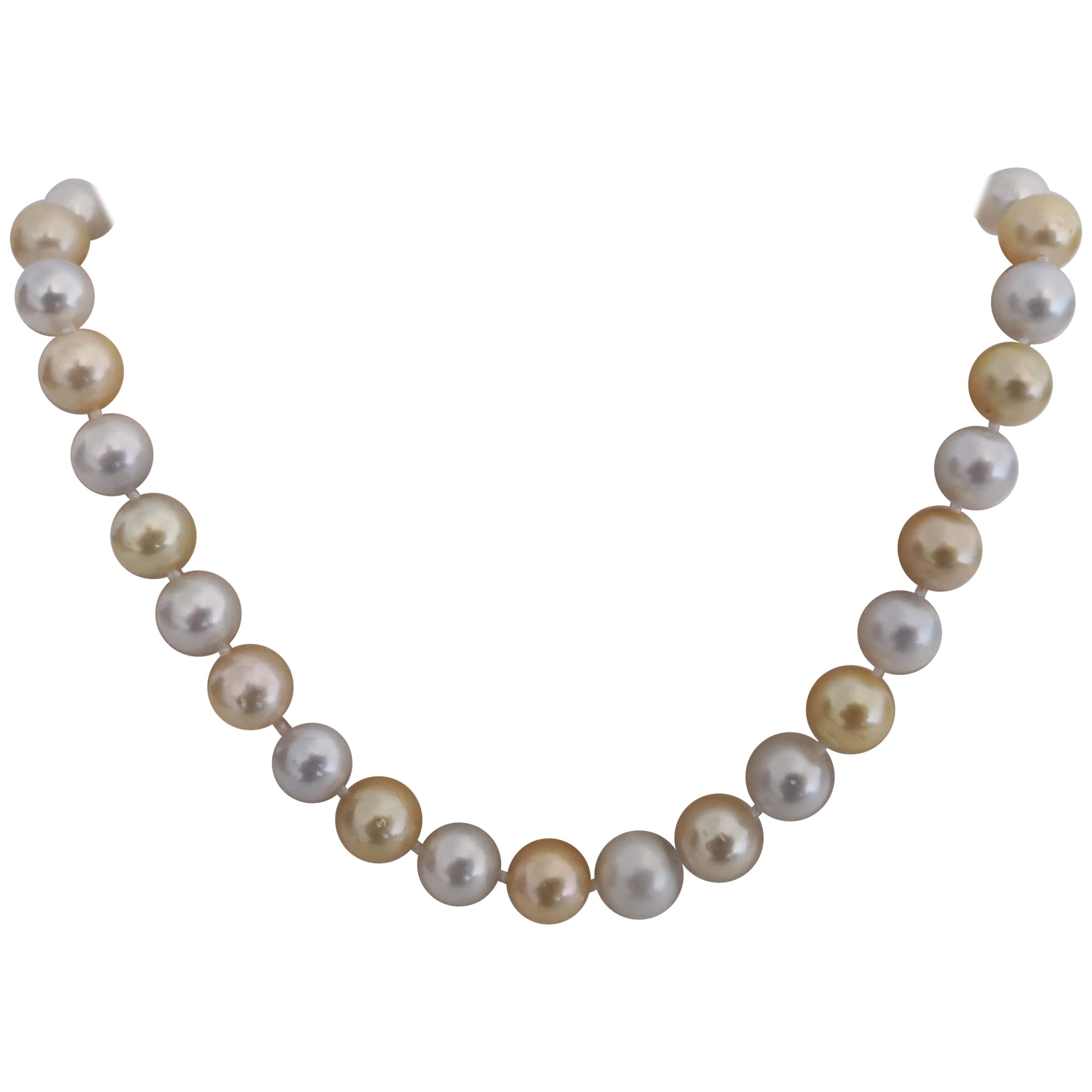 South Sea Pearl Necklace of Natural Colors Golden and White For Sale
