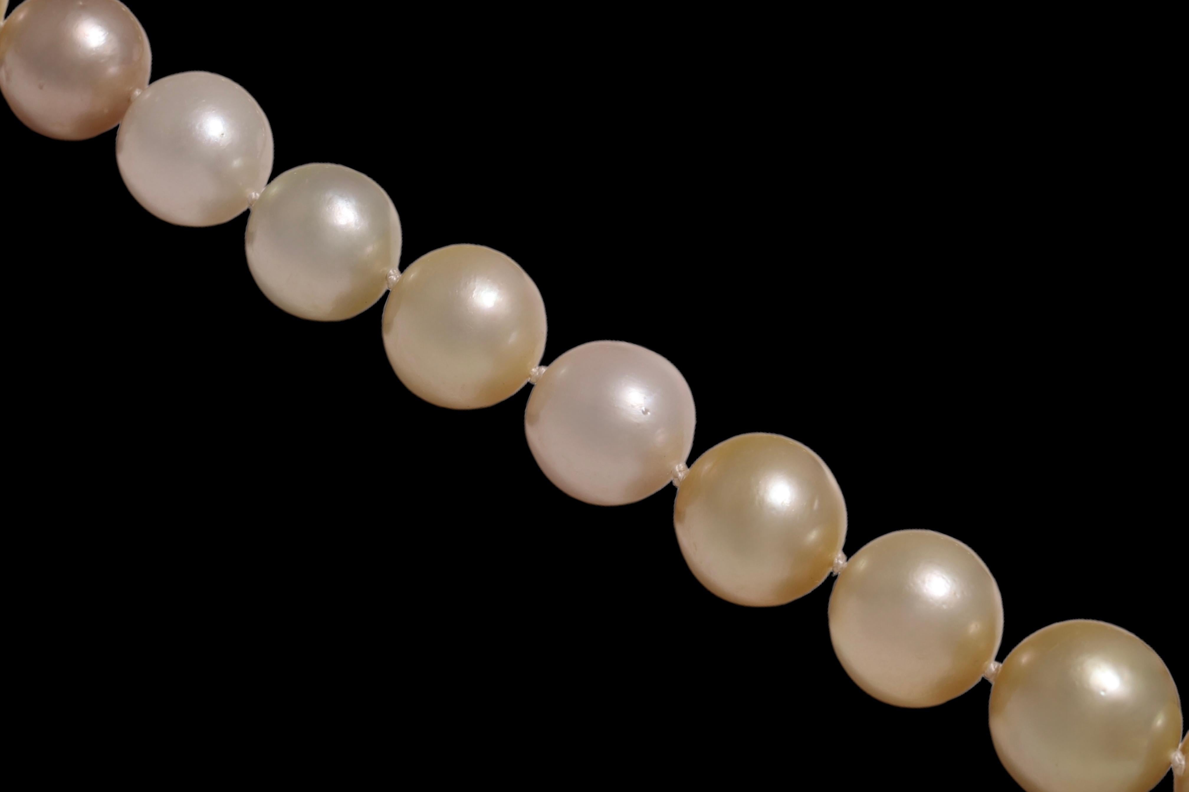 Women's or Men's South Sea Pearl Necklace With 18 kt. White Gold Locker wi& Diamonds 11-17mm For Sale