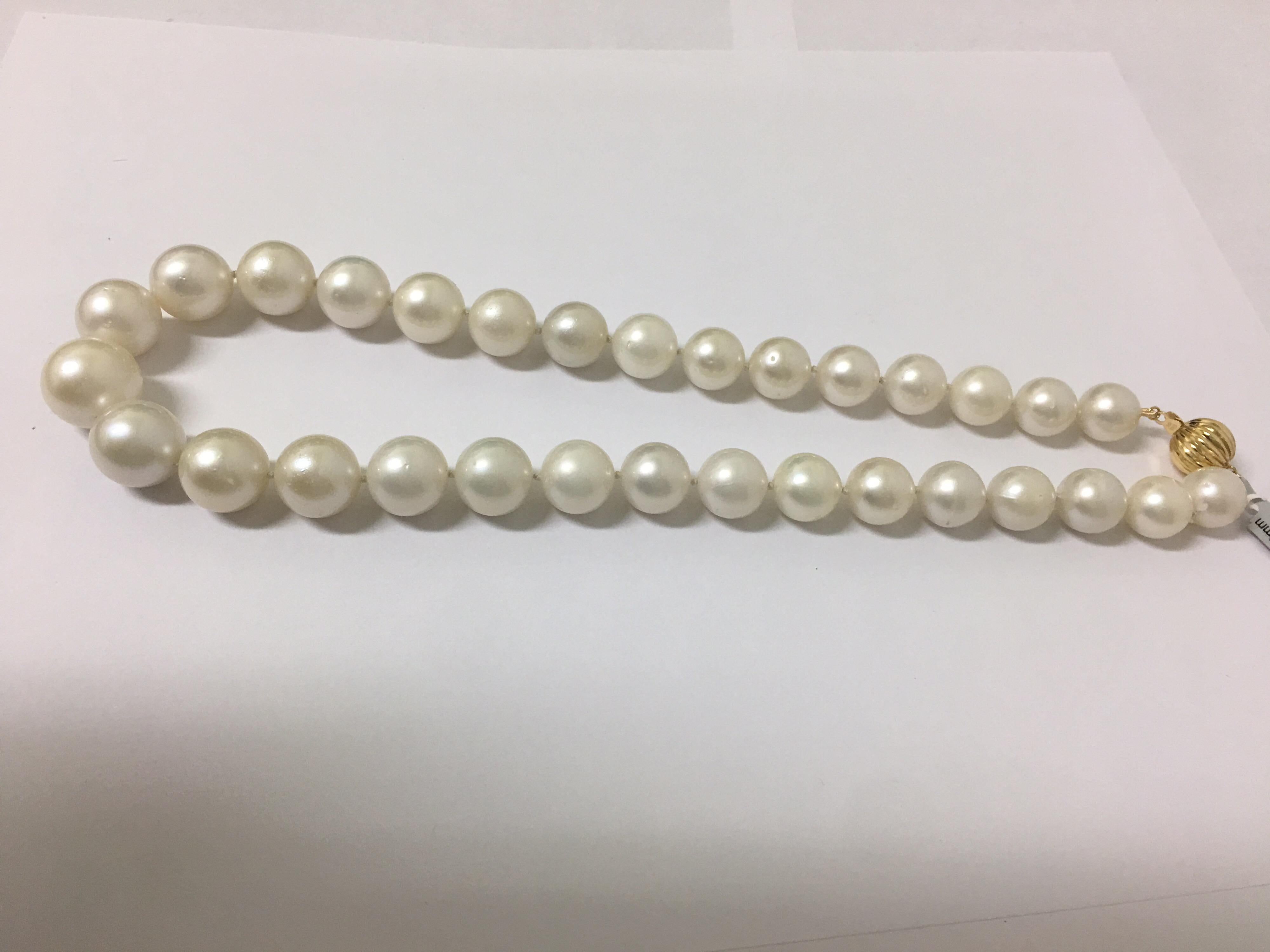 South Sea Pearl Necklace with Gold Clasp 5