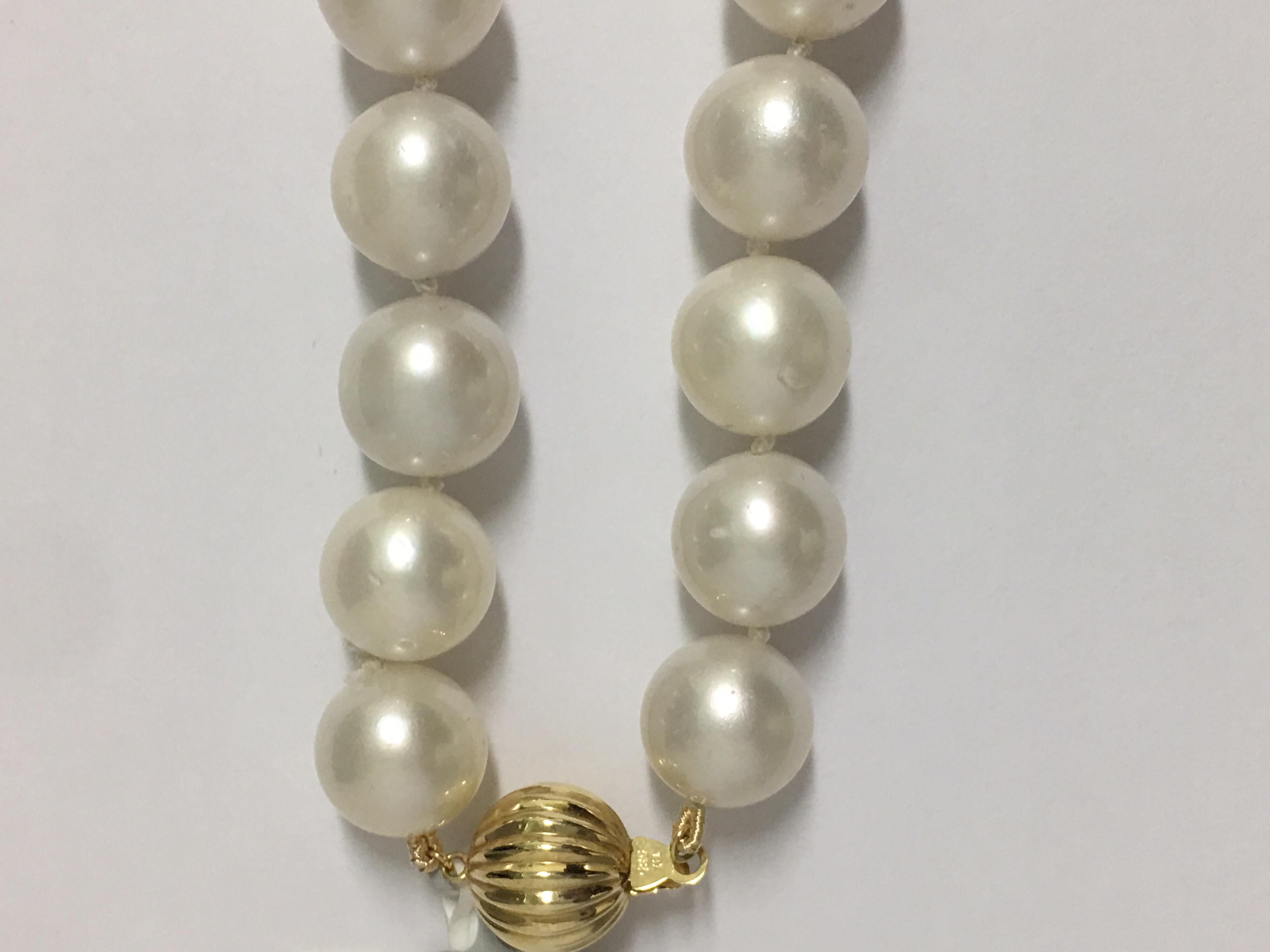 South Sea Pearl Necklace with Gold Clasp 1
