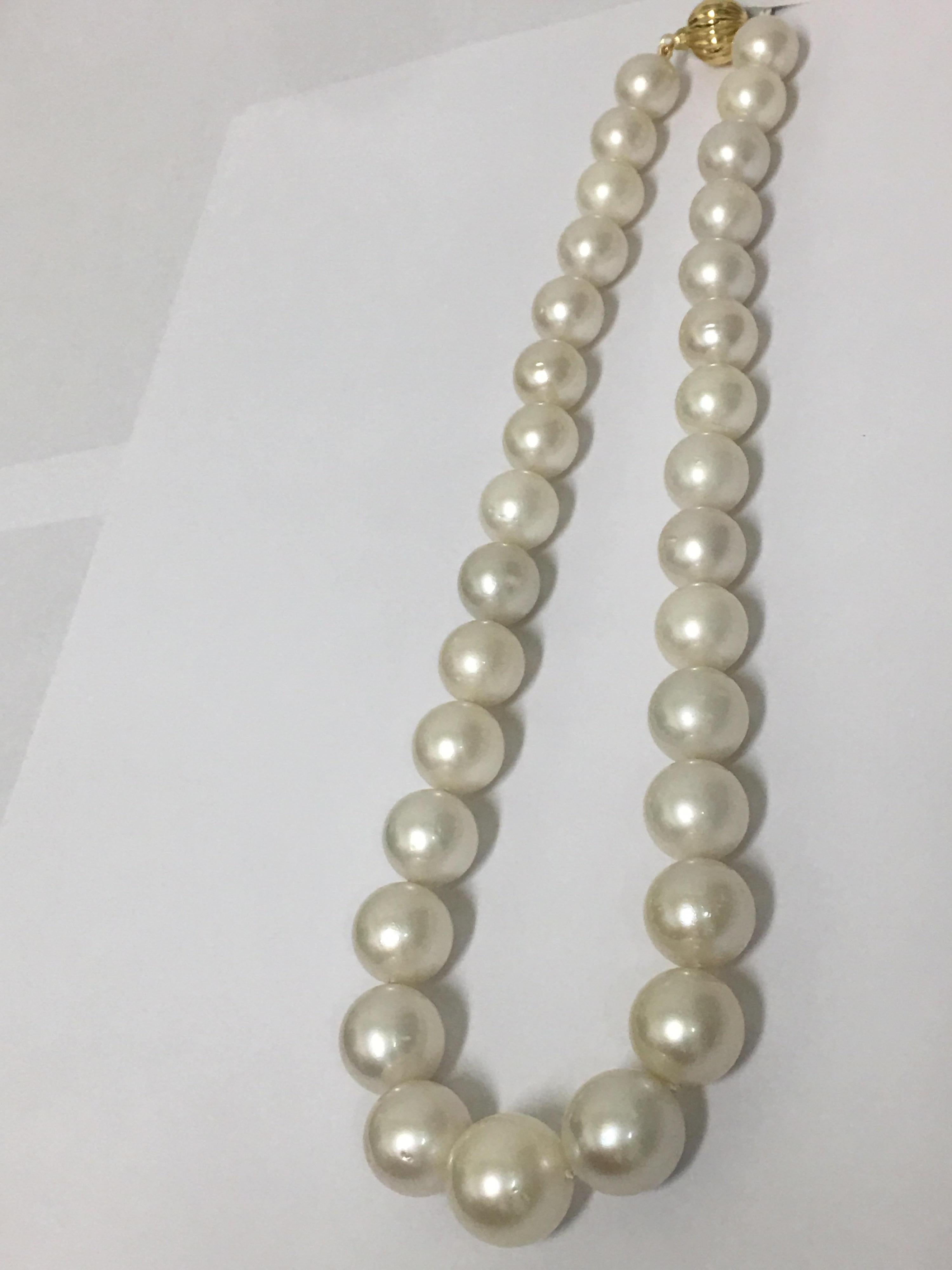 South Sea Pearl Necklace with Gold Clasp 2