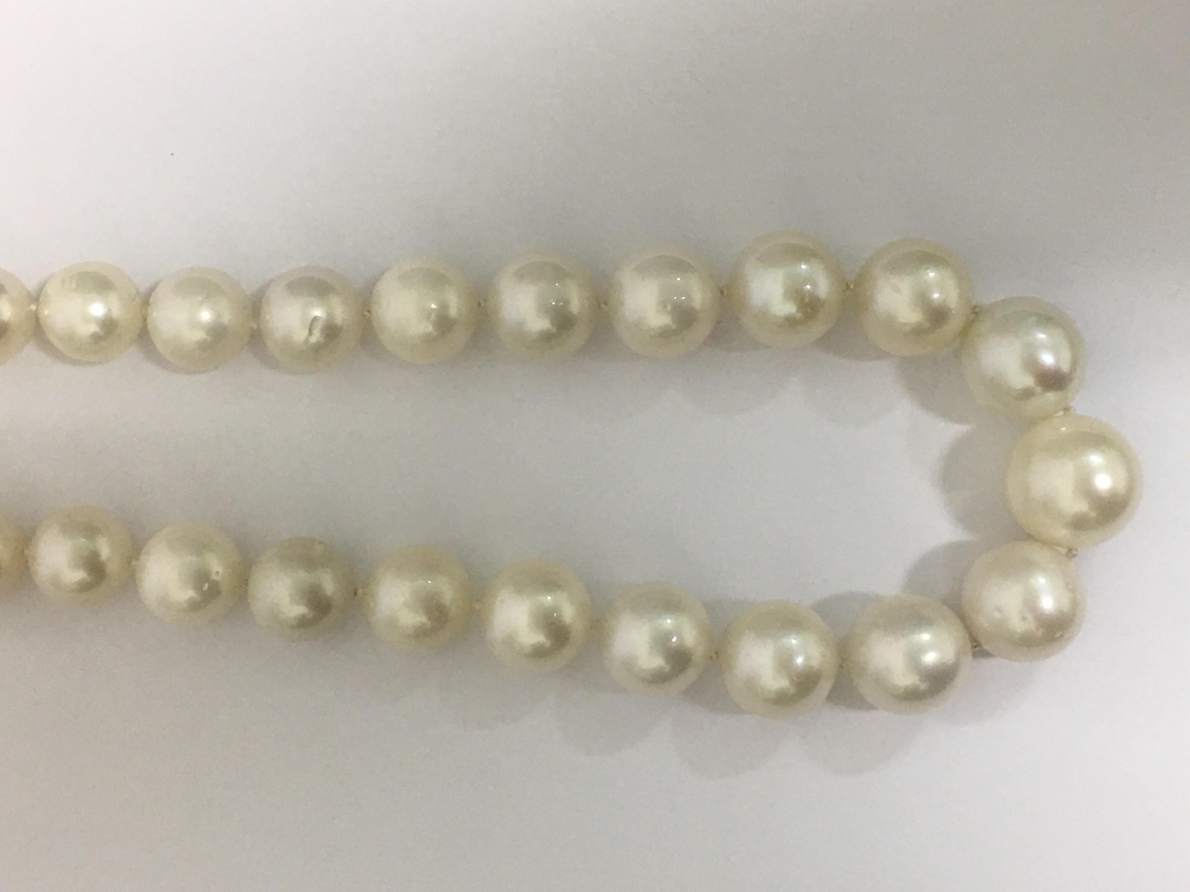 South Sea Pearl Necklace with Gold Clasp 3