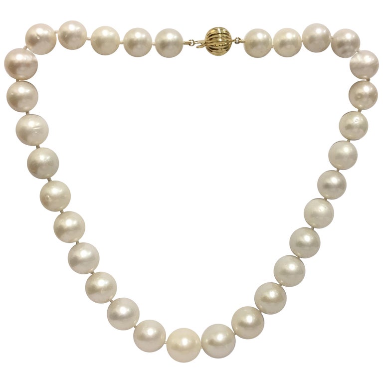 South Sea Pearl Necklace with Gold Clasp For Sale at 1stDibs | pearl ...