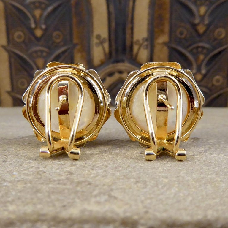 South Sea Pearl Omega Clip Earrings with 14 Karat White and Yellow Gold ...