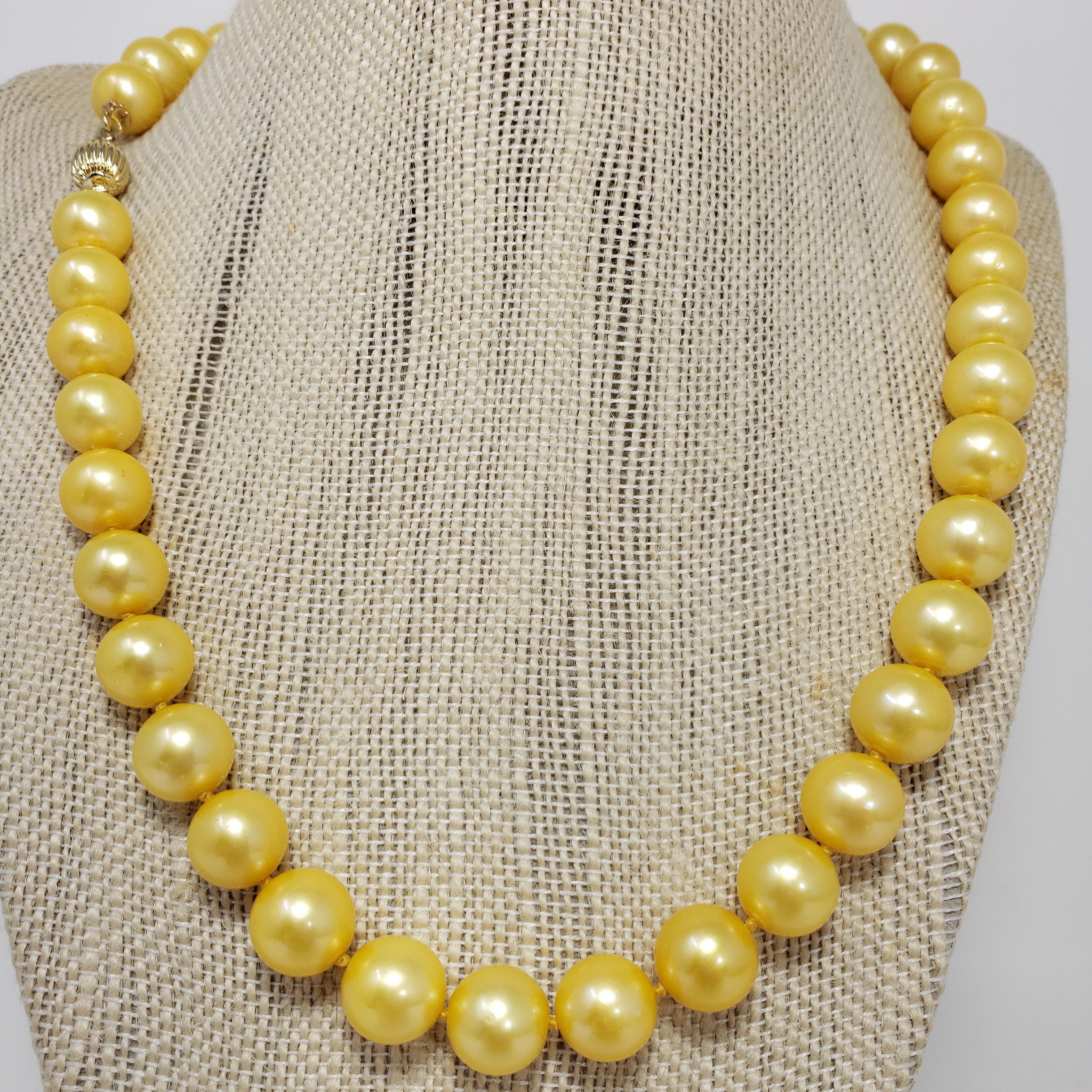 An exquisite necklace, featuring a single strand of South Sea pearls connected with a 14K yellow gold clasp. A golden glow perfect for any style!

Hallmarks: 14K
Pearls approx 11mm each