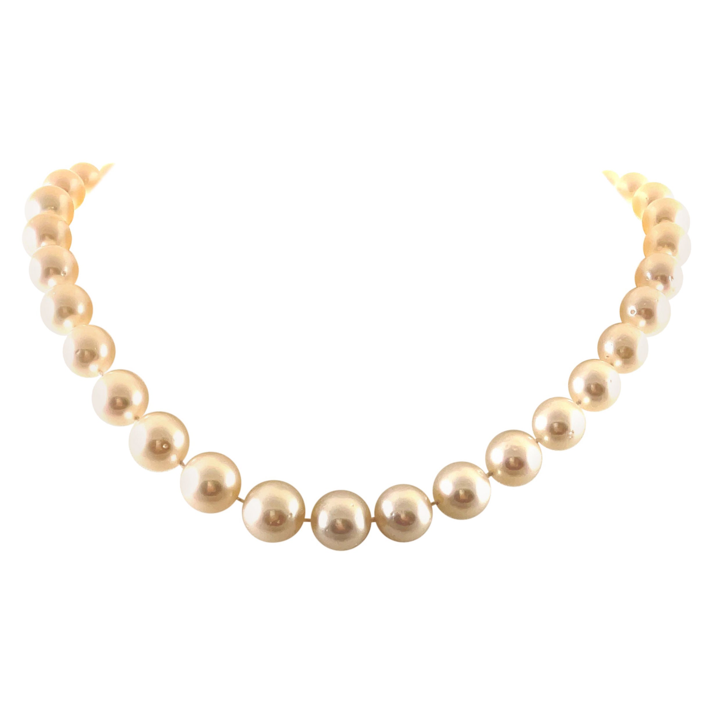 Collier à rang de perles des mers du Sud