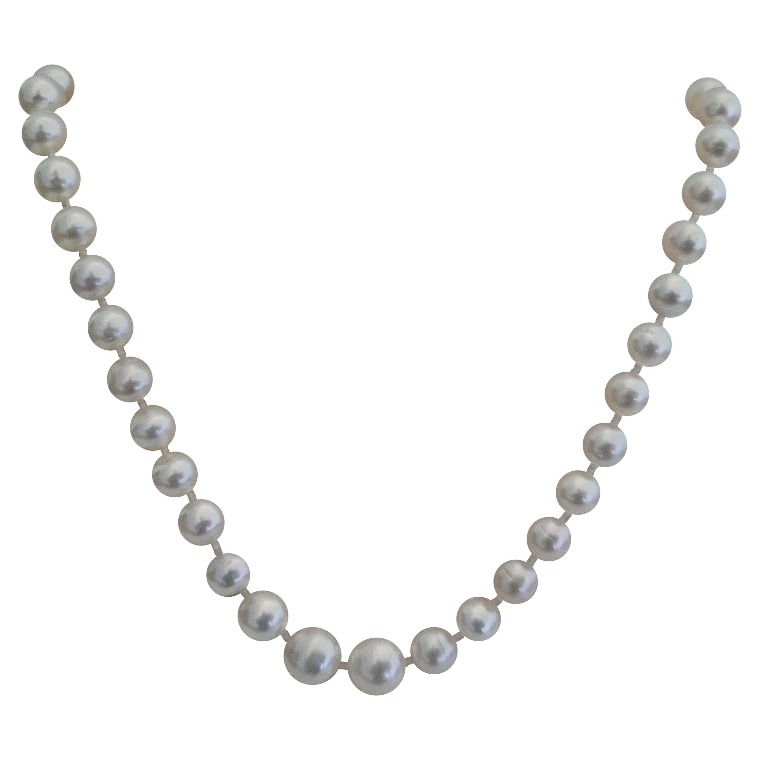 gray AAA 10-11 mm natural south  sea pearl pendant necklace Silver chain 