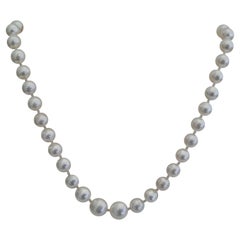 South Sea Pearl White Natural Color, Very High Luster and Orient