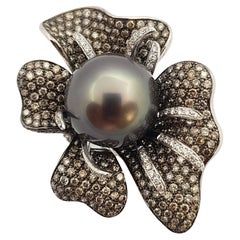 South Sea Pearl with Brown Diamond with Diamond Ring Set in 18 Karat White Gold