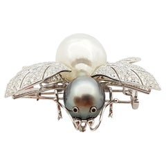 South Sea Pearl with Diamond Bee Brooch set in 18 Karat White Gold Settings