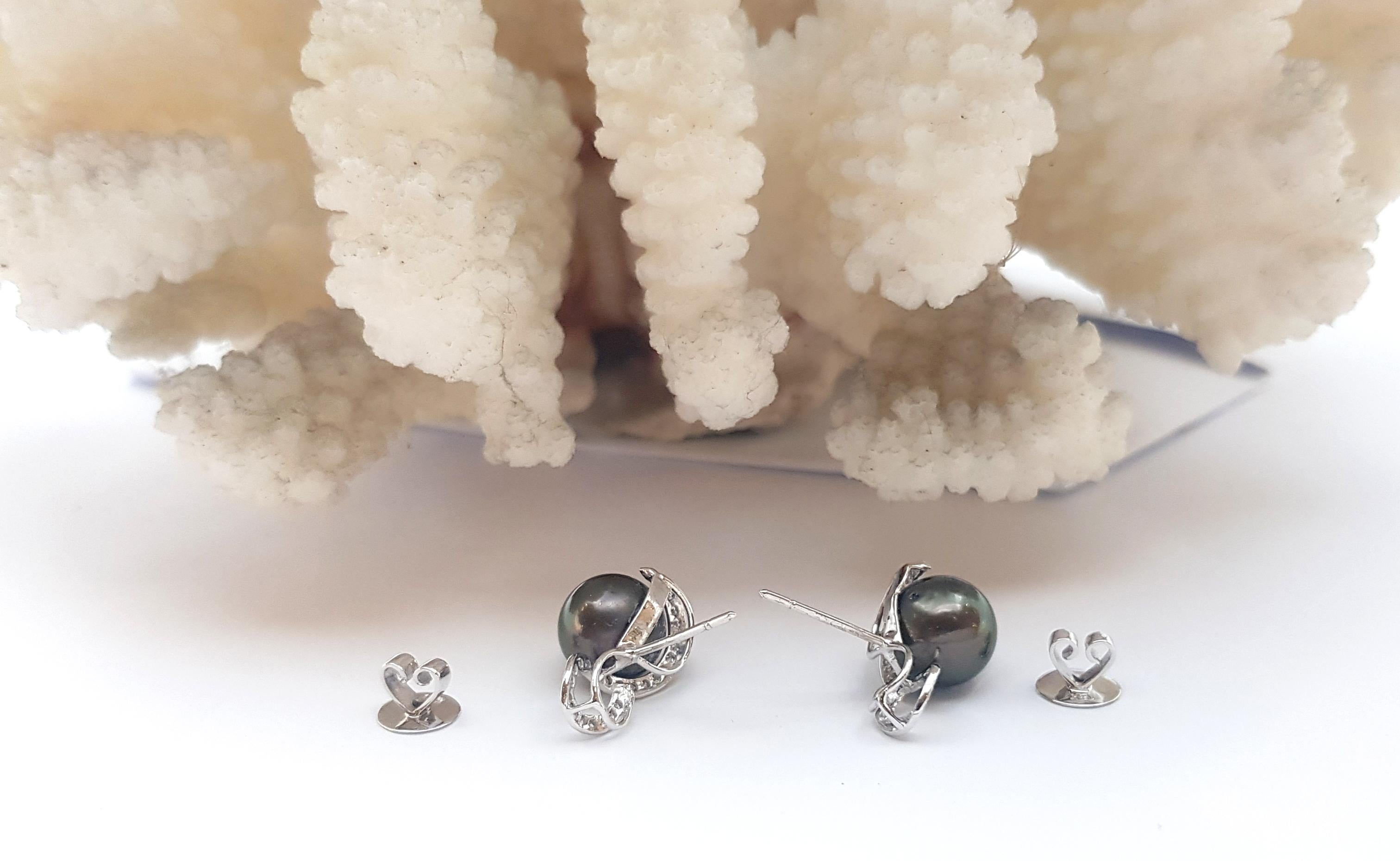 Women's South Sea Pearl with Diamond Earrings set in 18K White Gold Settings For Sale