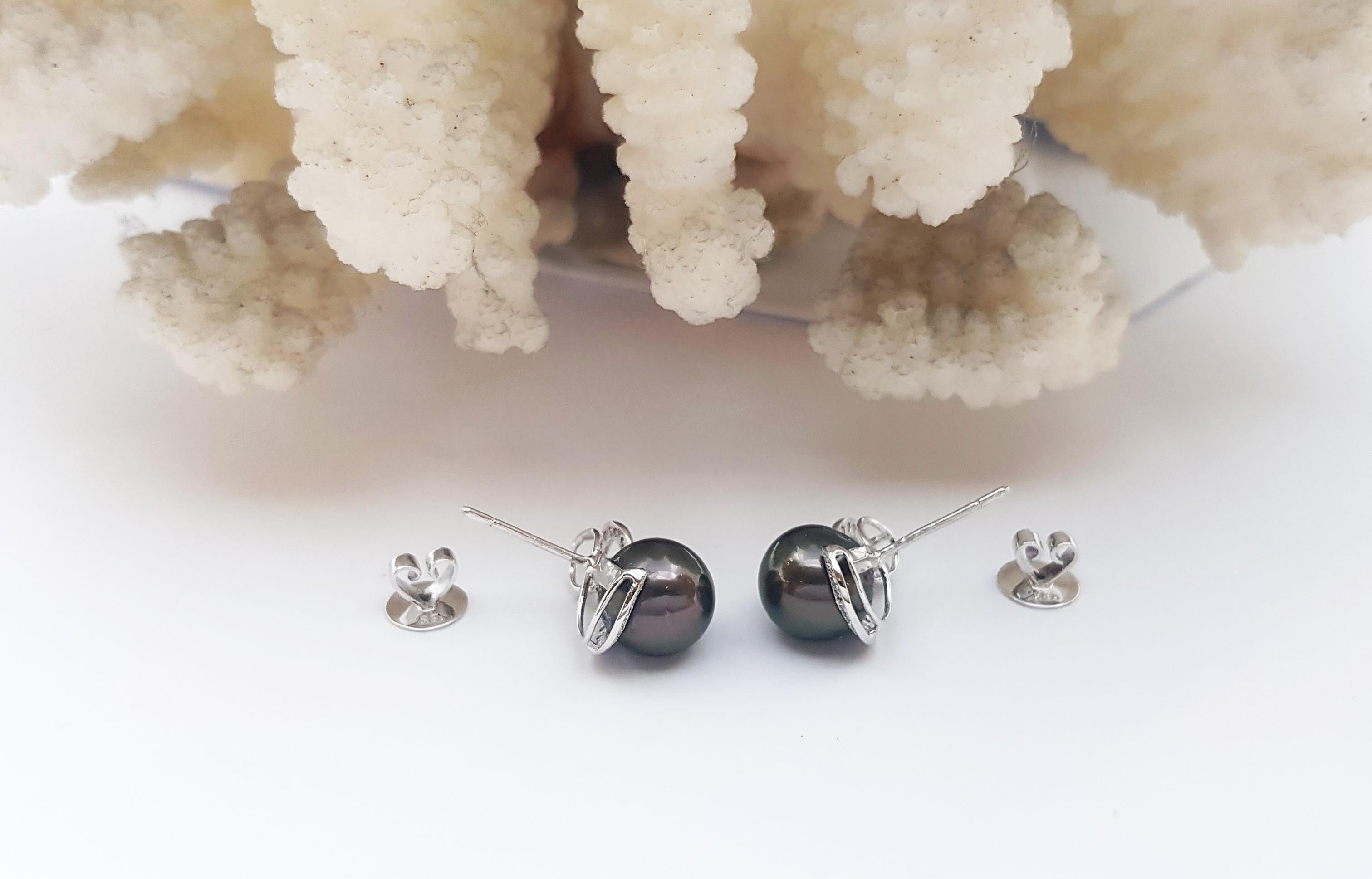 South Sea Pearl with Diamond Earrings set in 18K White Gold Settings For Sale 1