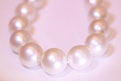 South Sea Pearls 18 Inches Long 14 Karat White Gold Clasp