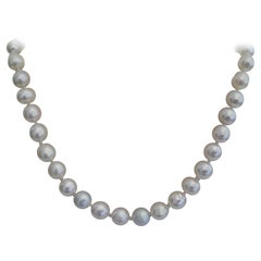 South Sea Pearls Natural Color and Luster, Round Shape, 18 Karats Gold