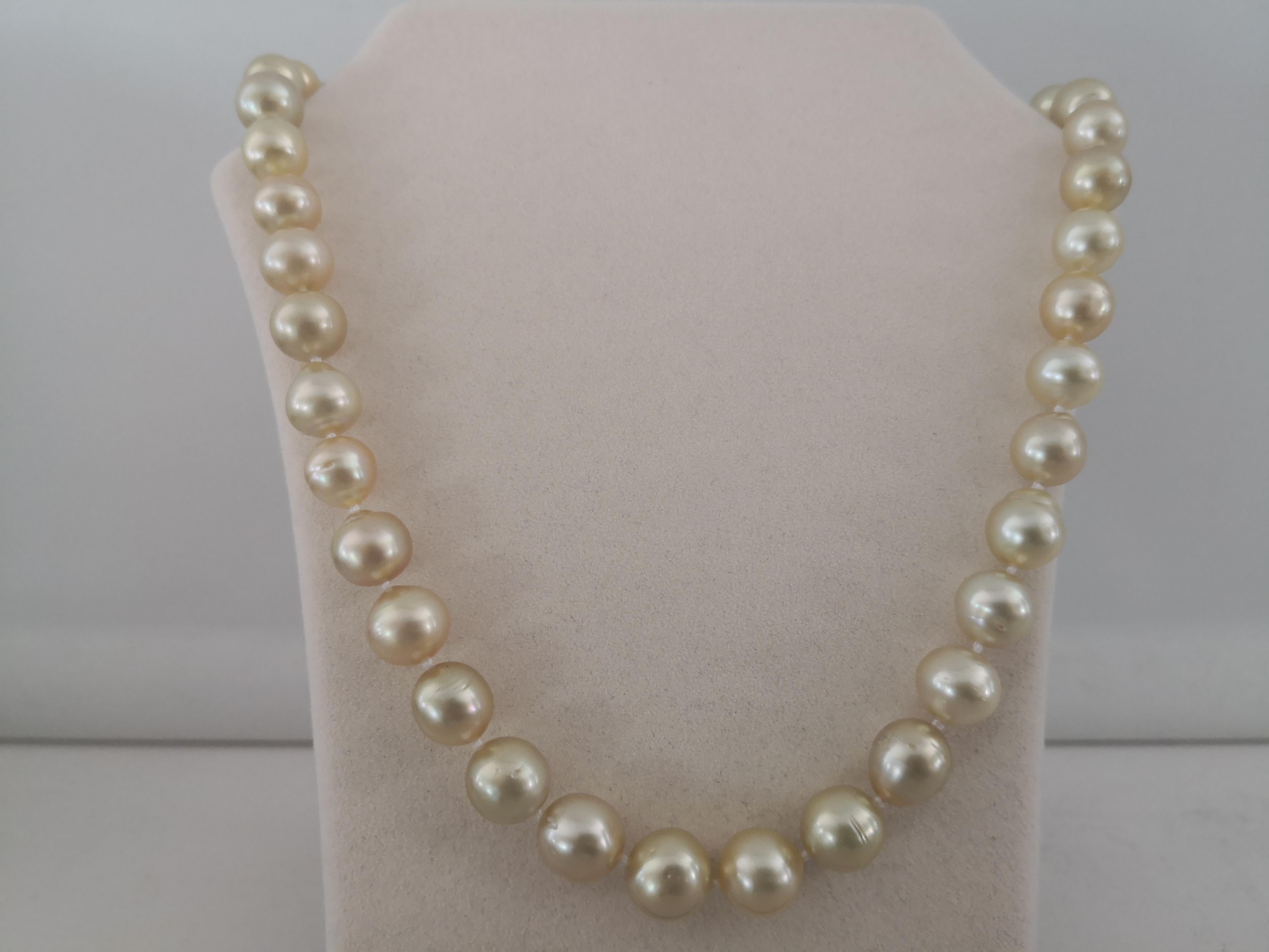 A beautiful Natural Color South Sea Pearls, Golden color from Indonesia ocean waters. 

- Size of Pearls 10-12  mm of diameter

- Pearls from Pinctada Maxima Oyster

- Origin: Indonesia ocean waters

- Natural deep  golden color and greeny overtones