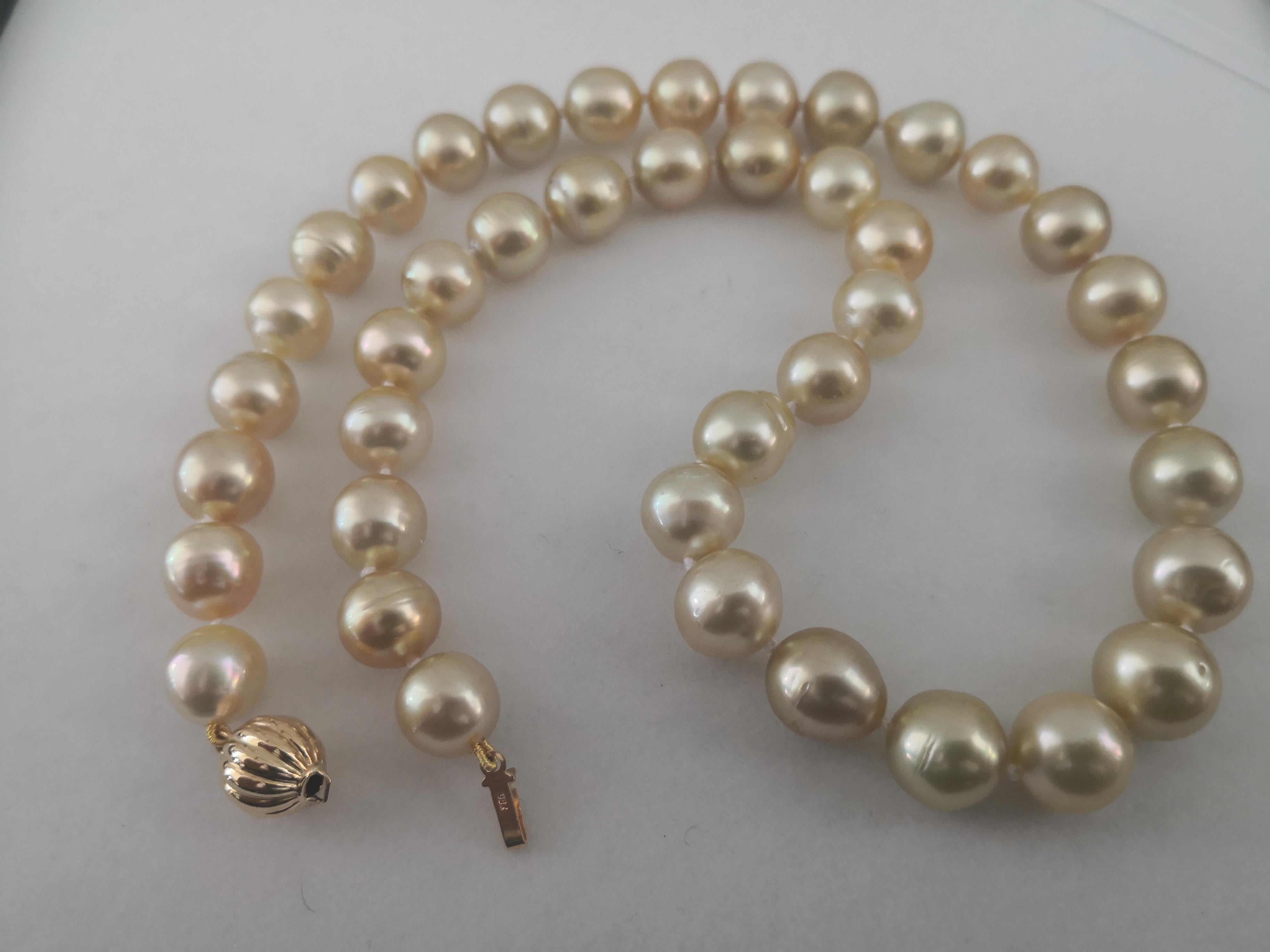 Contemporary South Sea Pearls, Deep Golden Natural Color, 18 Karat Gold For Sale